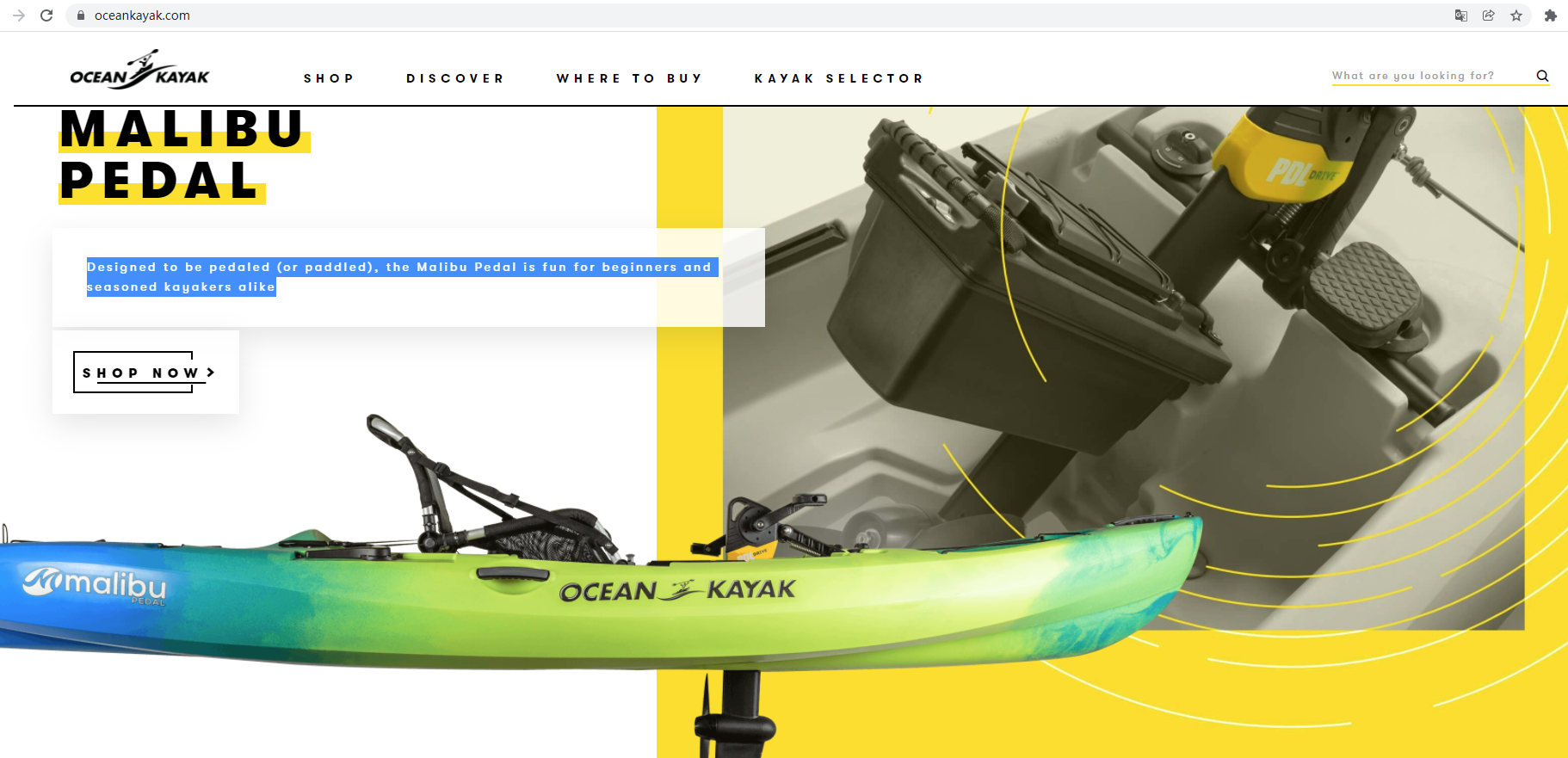 oceankayak.png oceankayak.png